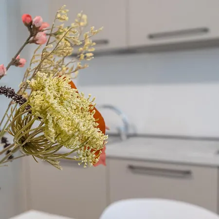 Guesthost - Charming Int - 4 Appartement