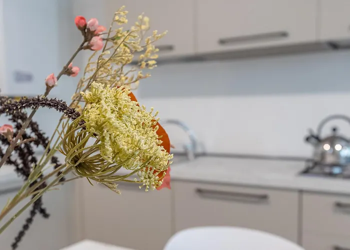 Guesthost - Charming Int - 4 شقة